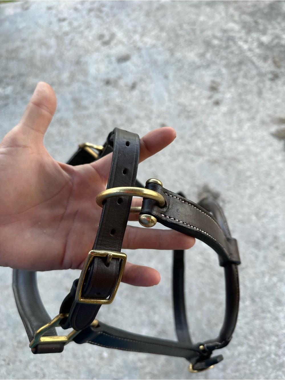 Brown Leather Horze horse Halter with White Stitching - Picture 4 of 8